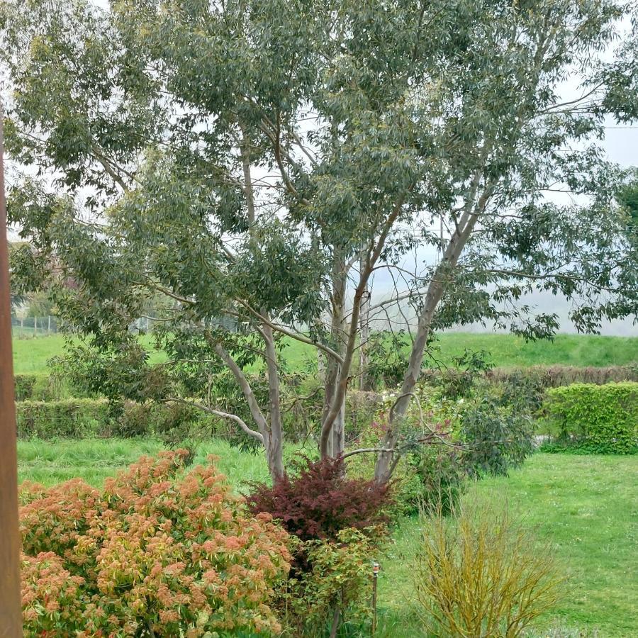 Detente A La Campagne Myennes Ngoại thất bức ảnh